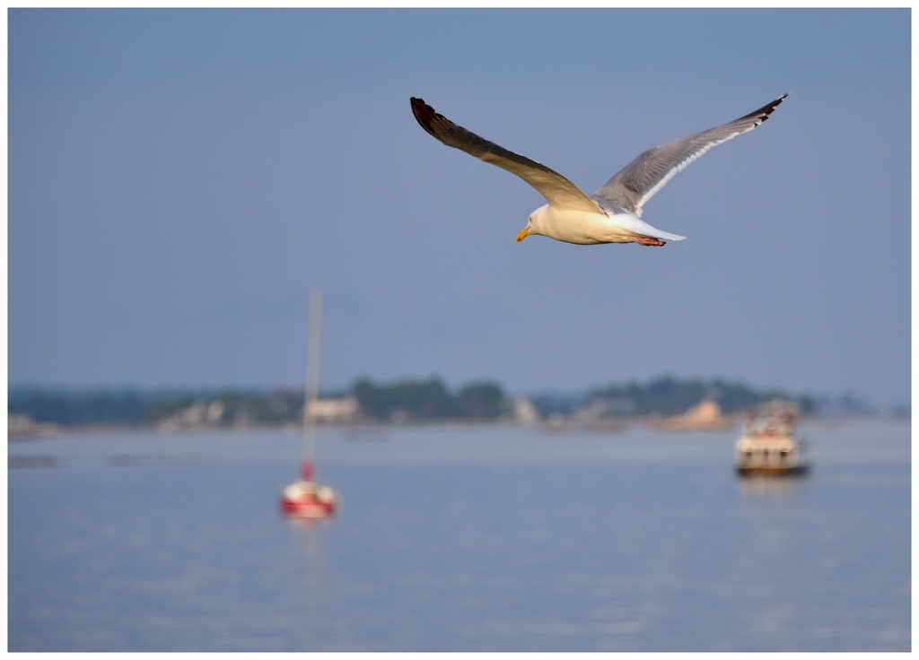 Traditional In Class A By Debra Meole For MY JOURNEY OCT-2018.jpg